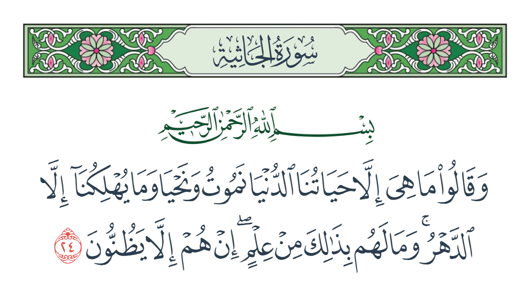  سورة الجاثية الآية رقم 24