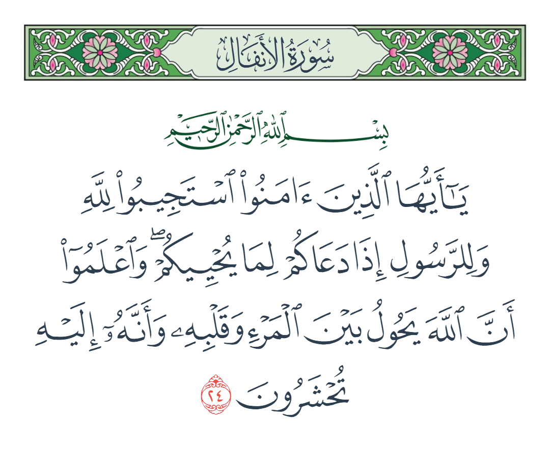  سورة الأنفال الآية رقم 24