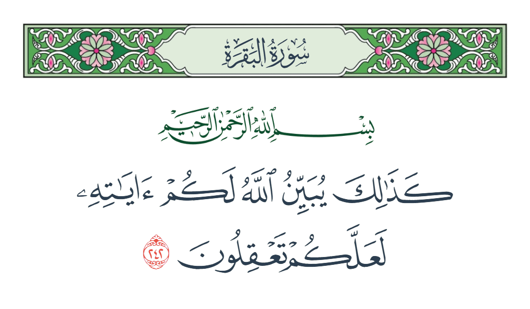  سورة البقرة الآية رقم 242
