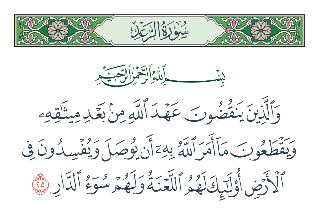  سورة الرعد الآية رقم 25