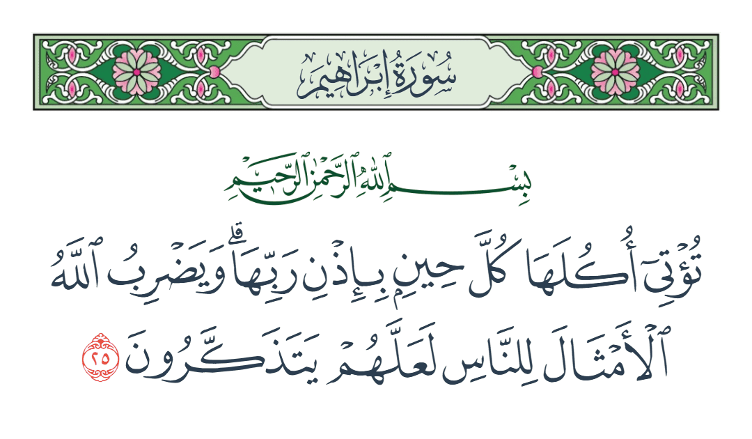  سورة إبراهيم الآية رقم 25