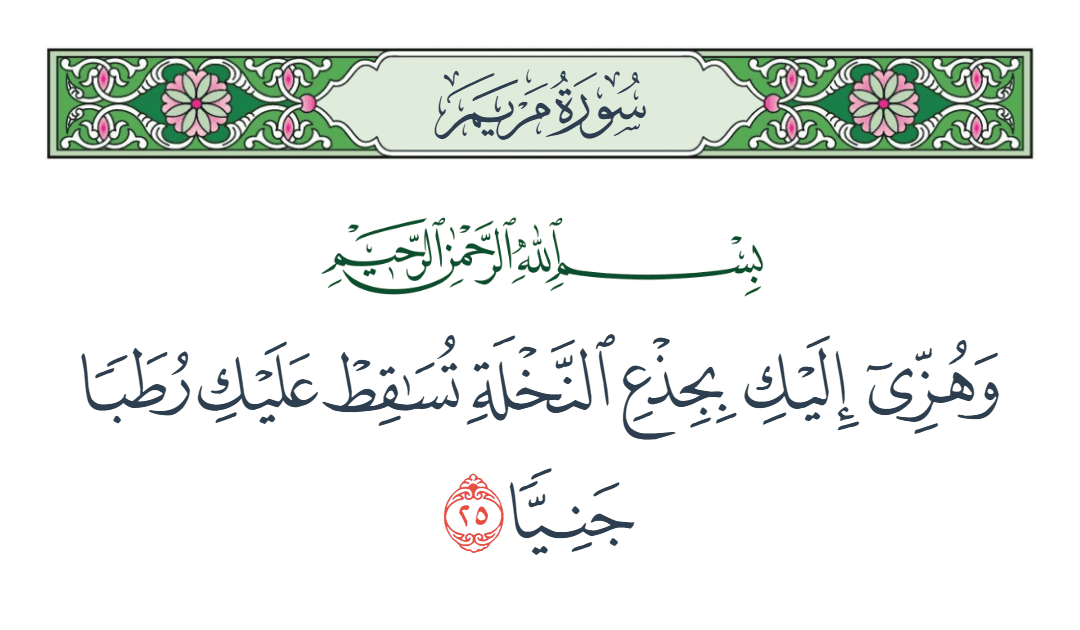  سورة مريم الآية رقم 25