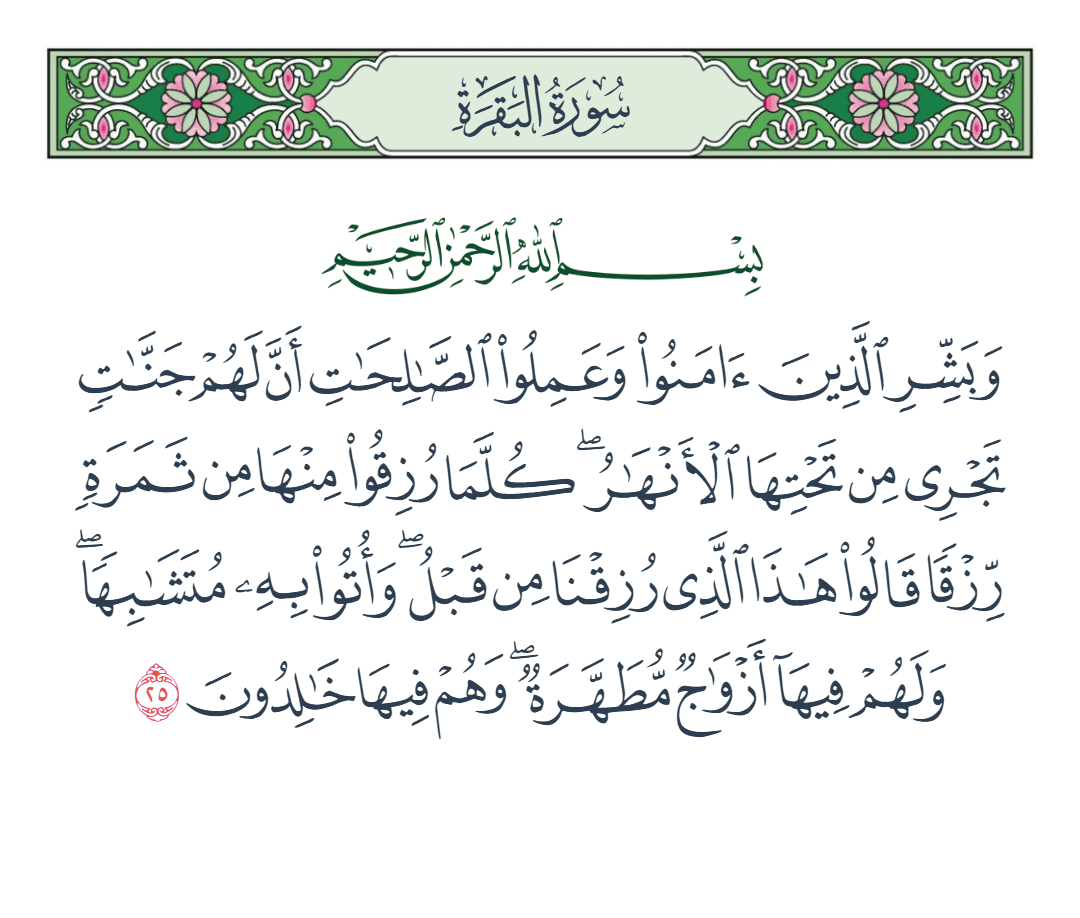  سورة البقرة الآية رقم 25