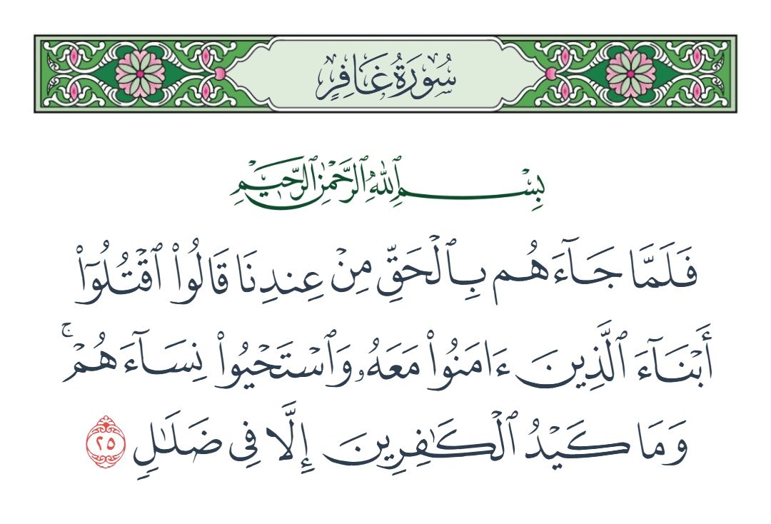  سورة غافر الآية رقم 25