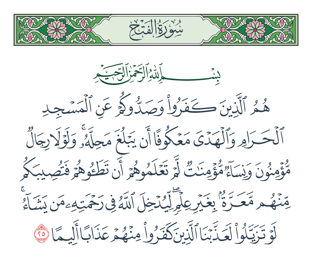  سورة الفتح الآية رقم 25