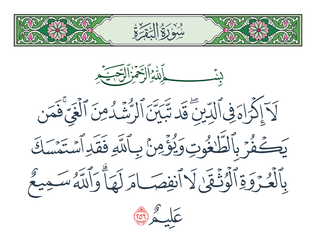  سورة البقرة الآية رقم 256