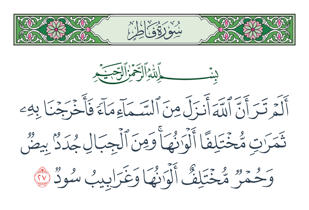  سورة فاطر الآية رقم 27