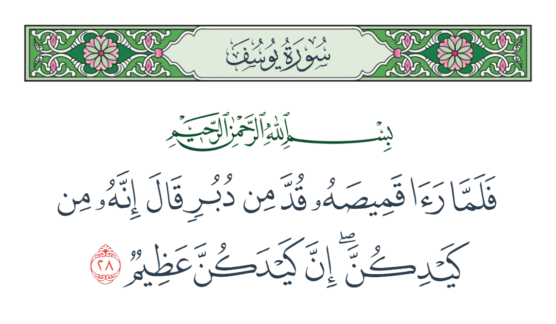  سورة يوسف الآية رقم 28