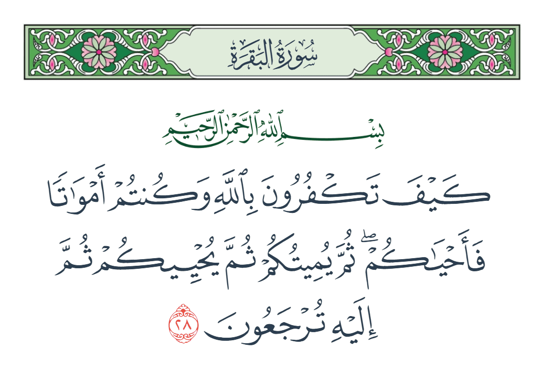  سورة البقرة الآية رقم 28