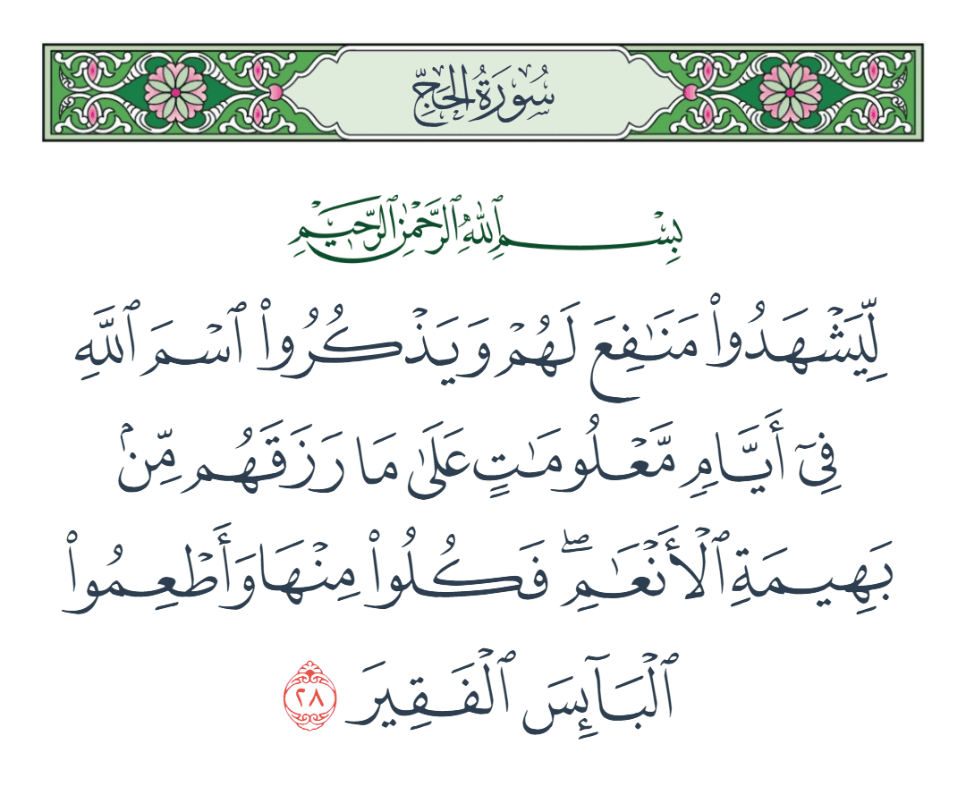  سورة الحج الآية رقم 28