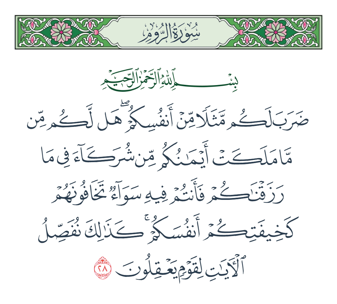  سورة الروم الآية رقم 28