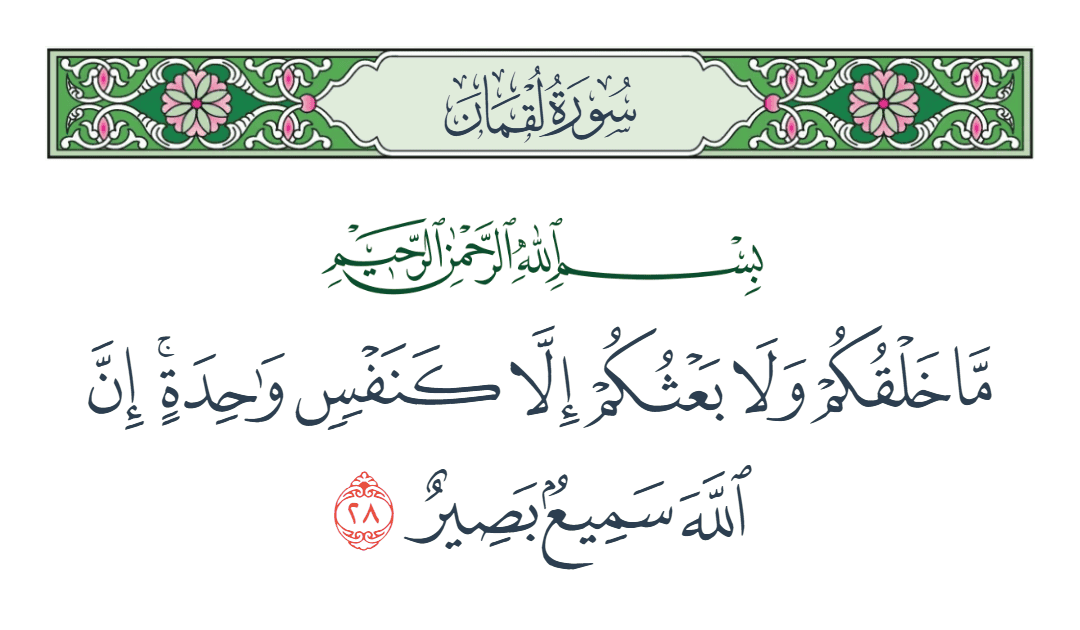  سورة لقمان الآية رقم 28