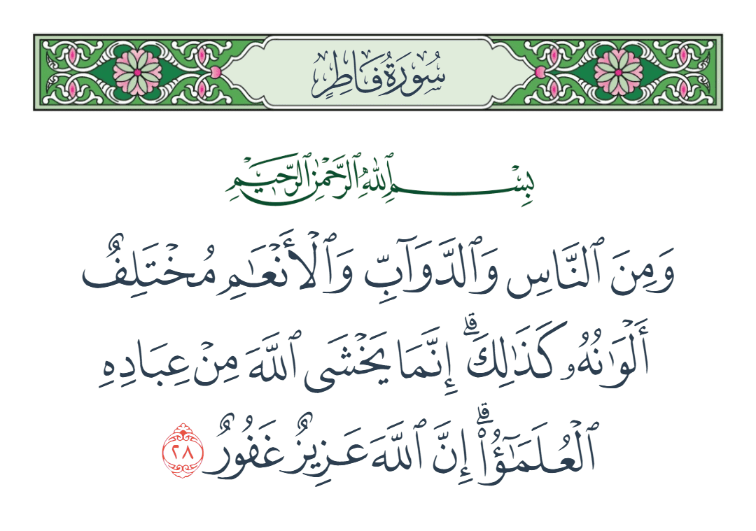  سورة فاطر الآية رقم 28