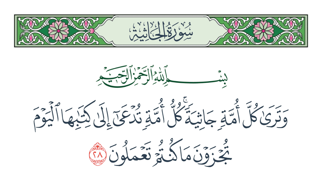  سورة الجاثية الآية رقم 28