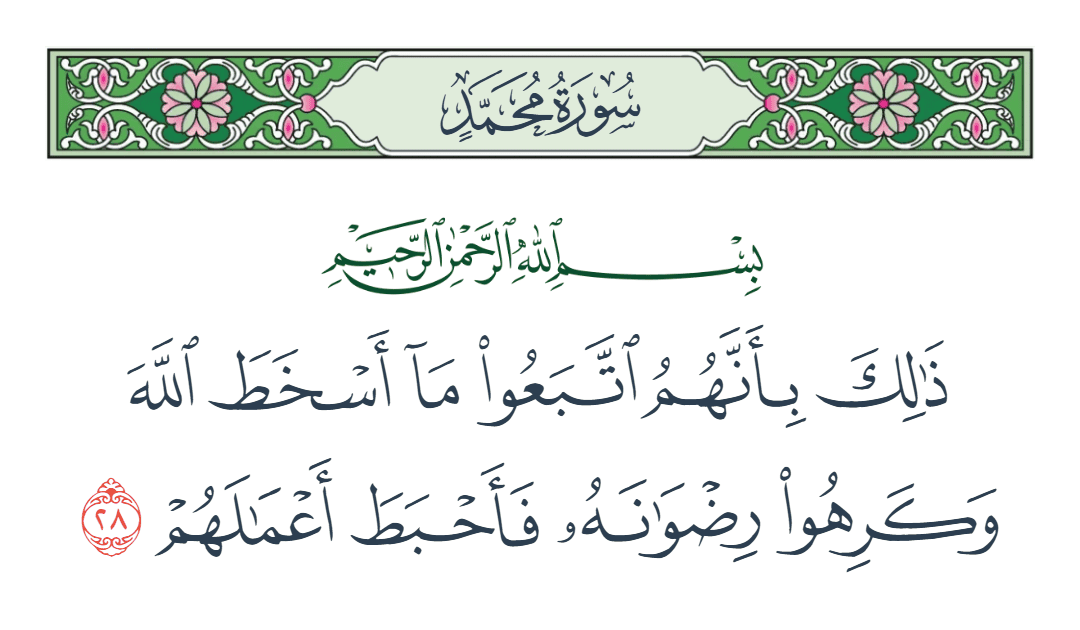  سورة محمد الآية رقم 28