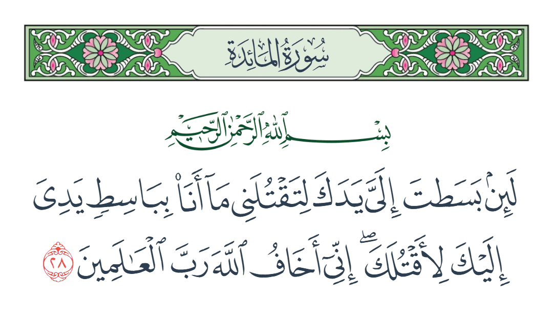  سورة المائدة الآية رقم 28