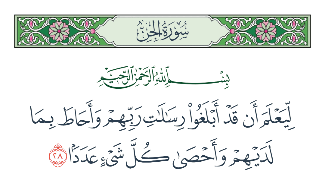  سورة الجن الآية رقم 28