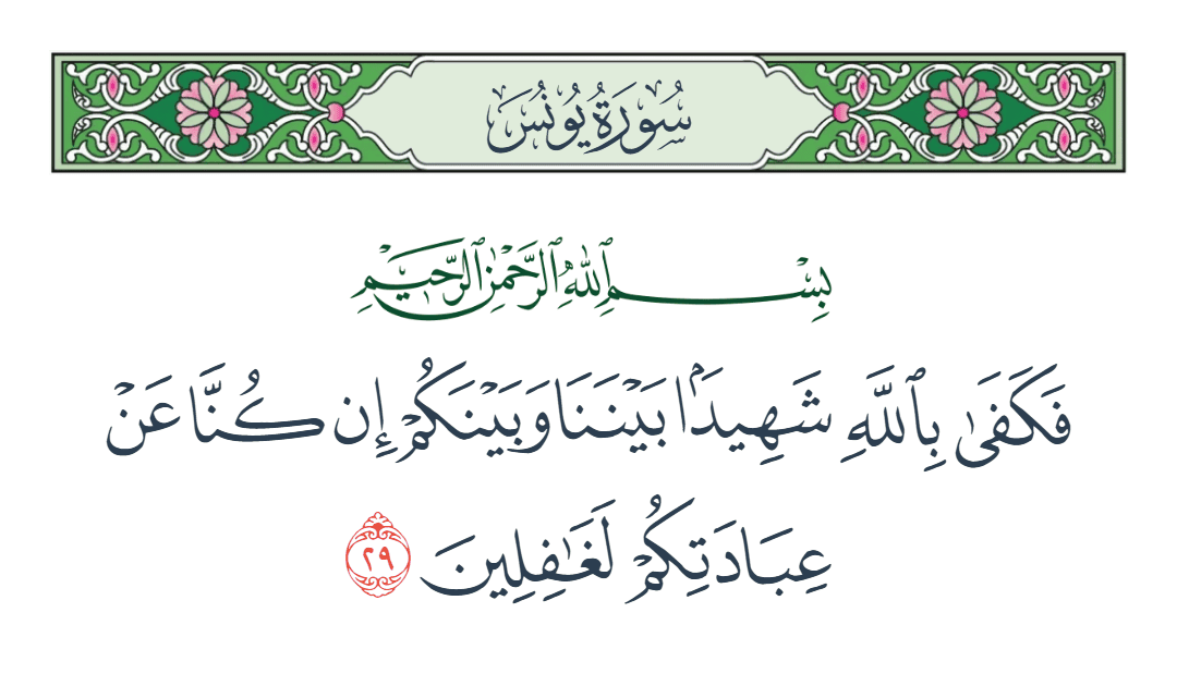  سورة يونس الآية رقم 29