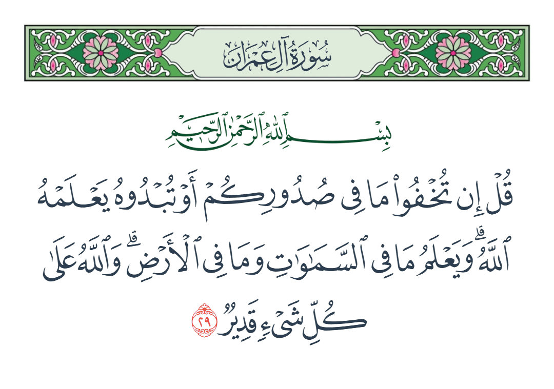  سورة آل عمران الآية رقم 29