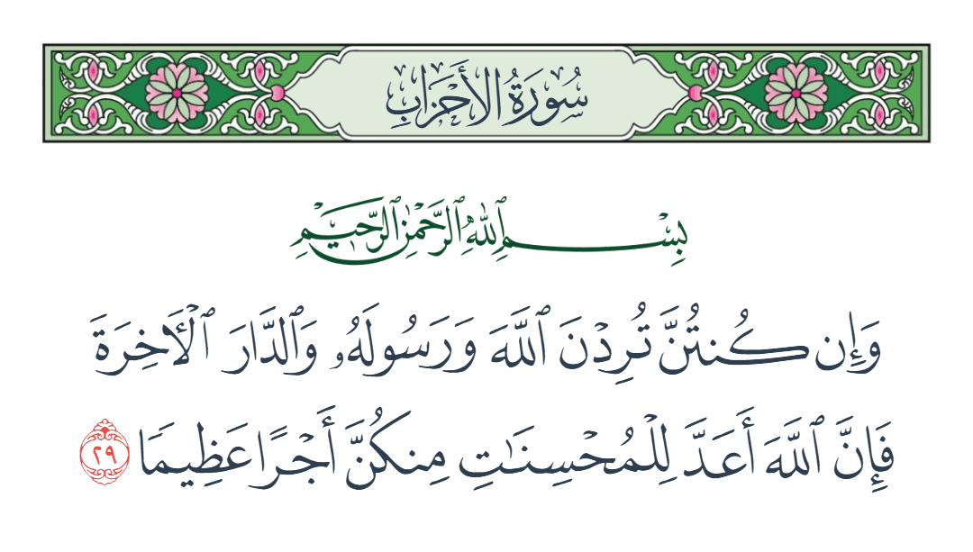  سورة الأحزاب الآية رقم 29