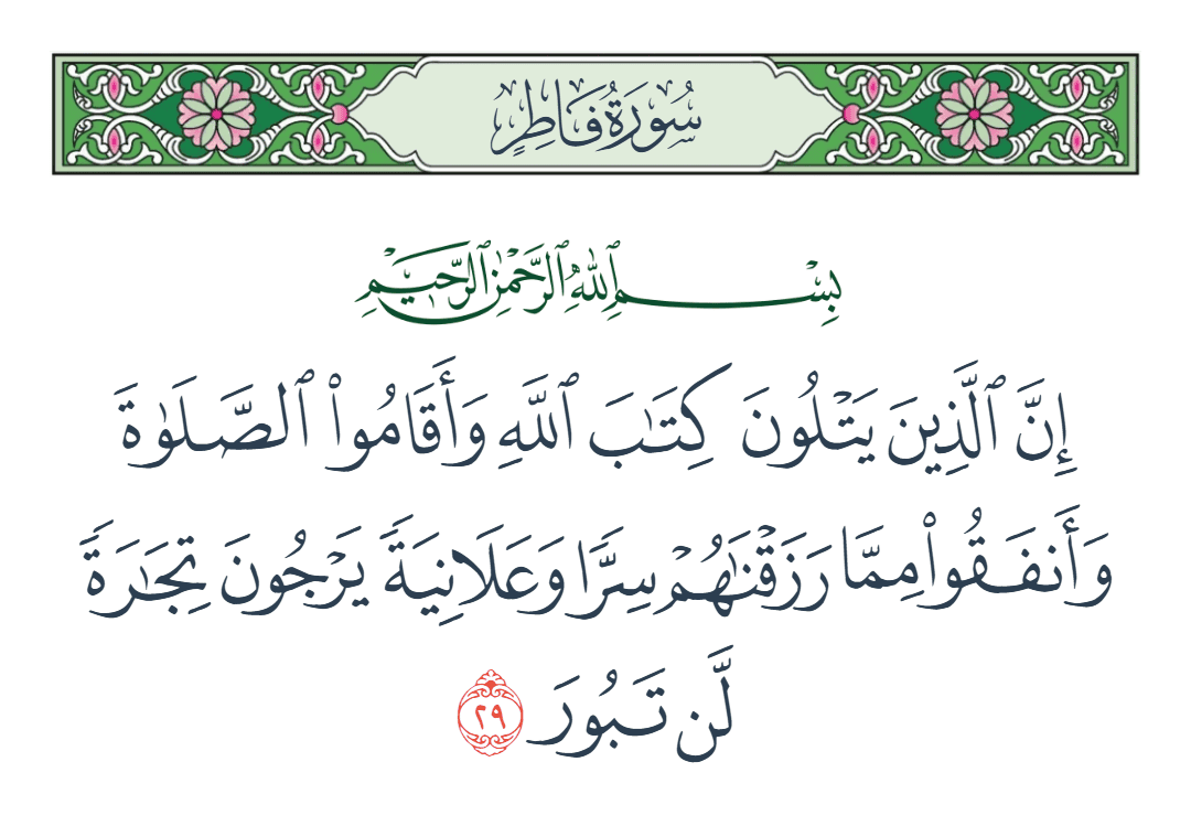  سورة فاطر الآية رقم 29