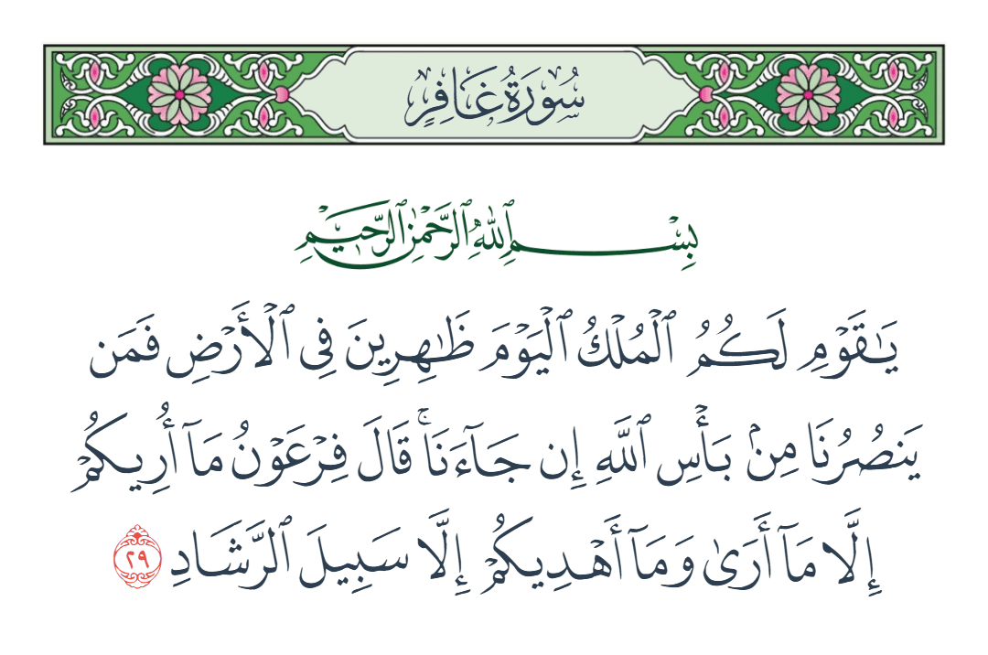  سورة غافر الآية رقم 29