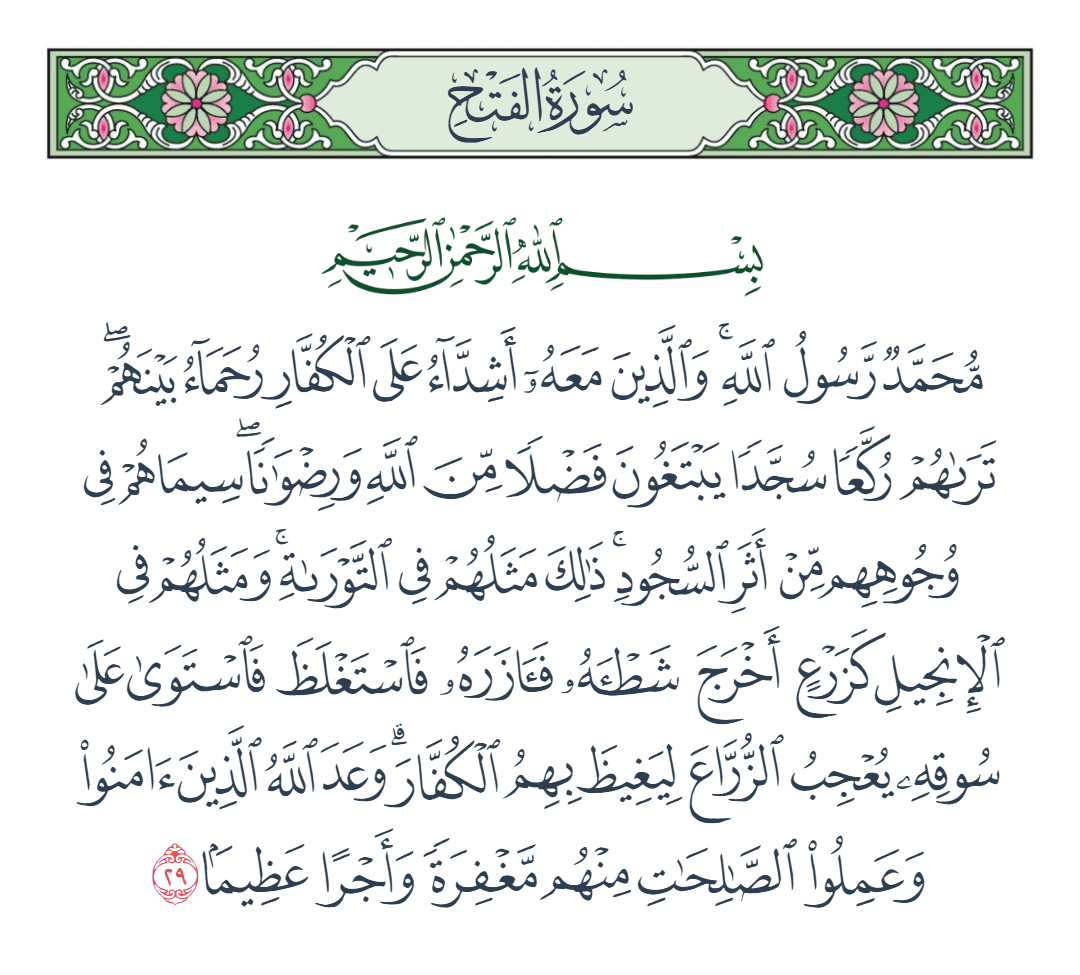  سورة الفتح الآية رقم 29