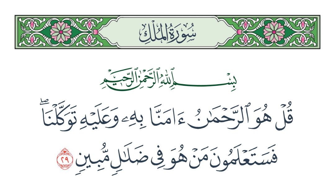  سورة الملك الآية رقم 29