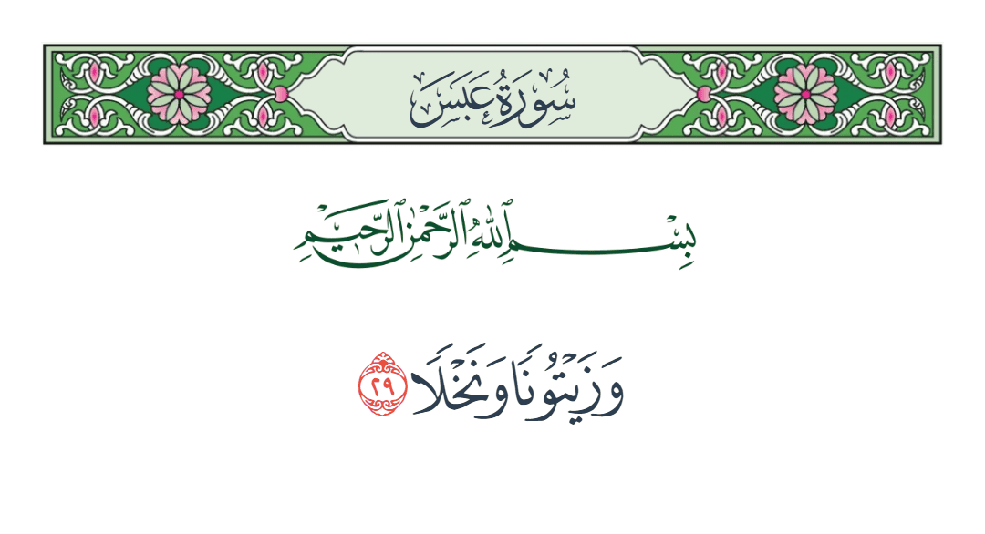  سورة عبس الآية رقم 29