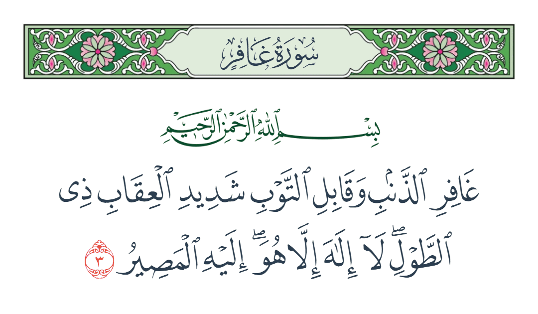  سورة غافر الآية رقم 3