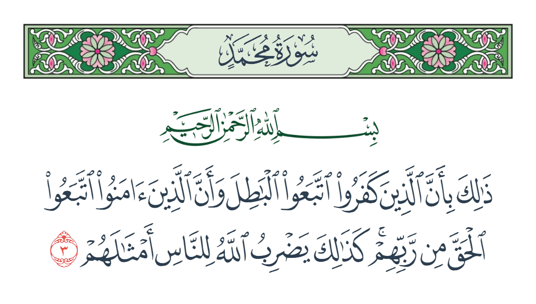  سورة محمد الآية رقم 3