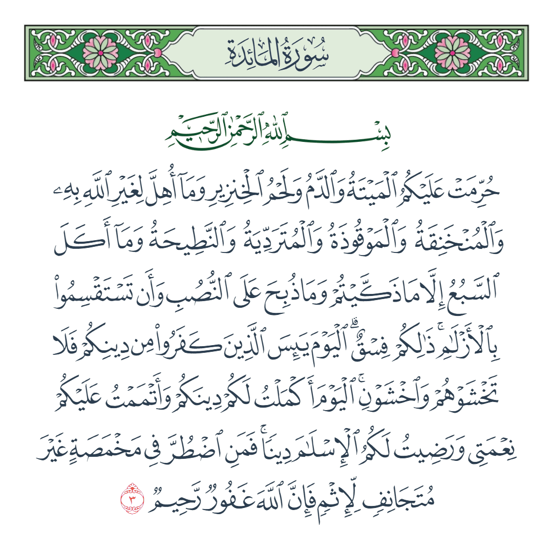  سورة المائدة الآية رقم 3