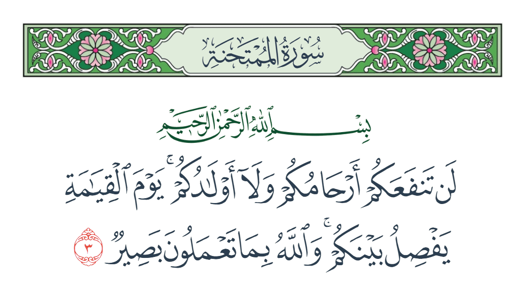  سورة الممتحنة الآية رقم 3
