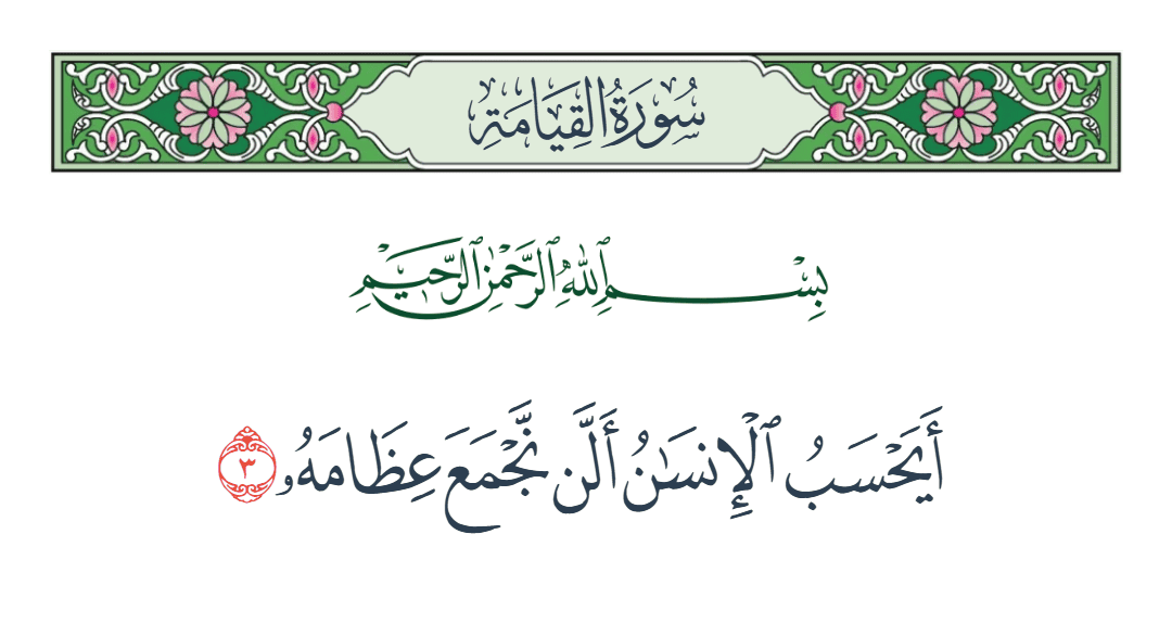  سورة القيامة الآية رقم 3