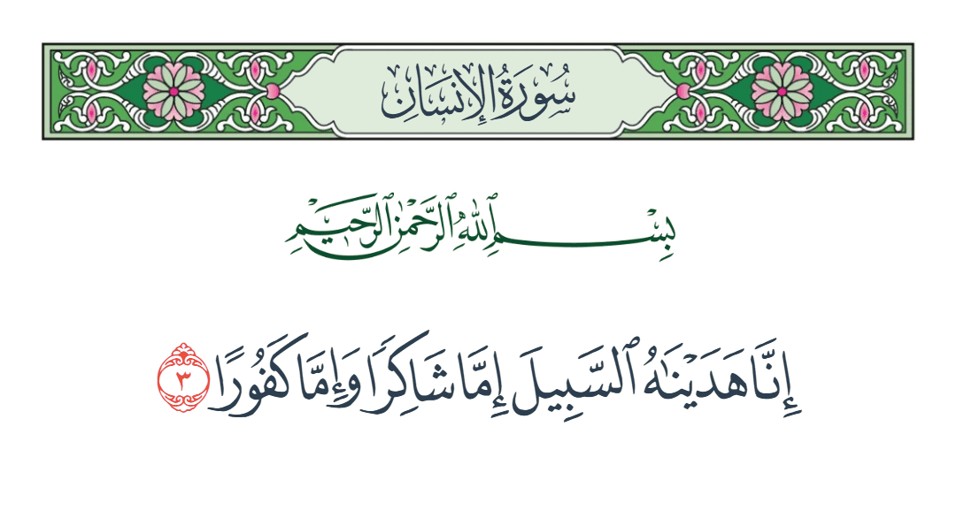  سورة الإنسان الآية رقم 3