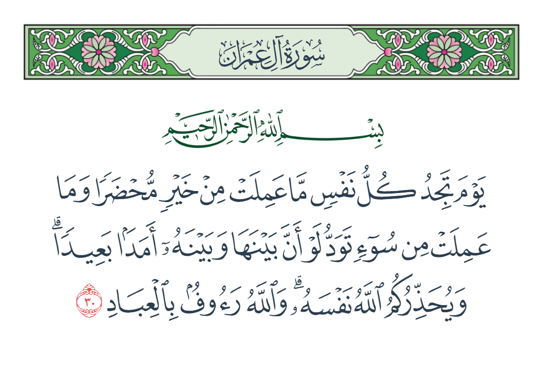  سورة آل عمران الآية رقم 30