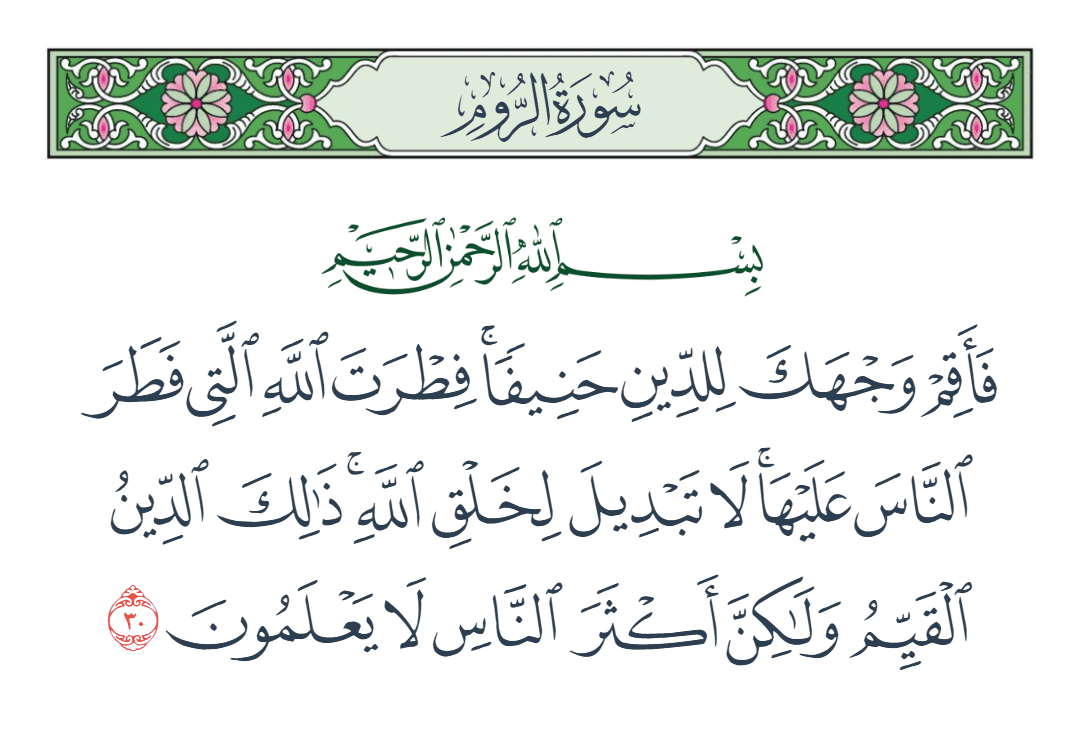  سورة الروم الآية رقم 30