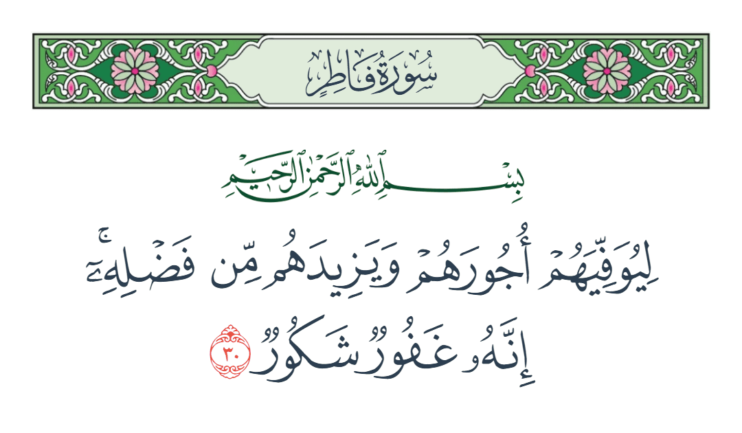  سورة فاطر الآية رقم 30