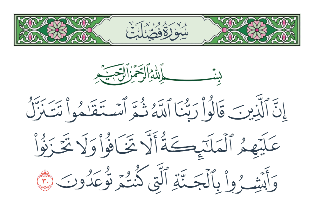  سورة فصلت الآية رقم 30