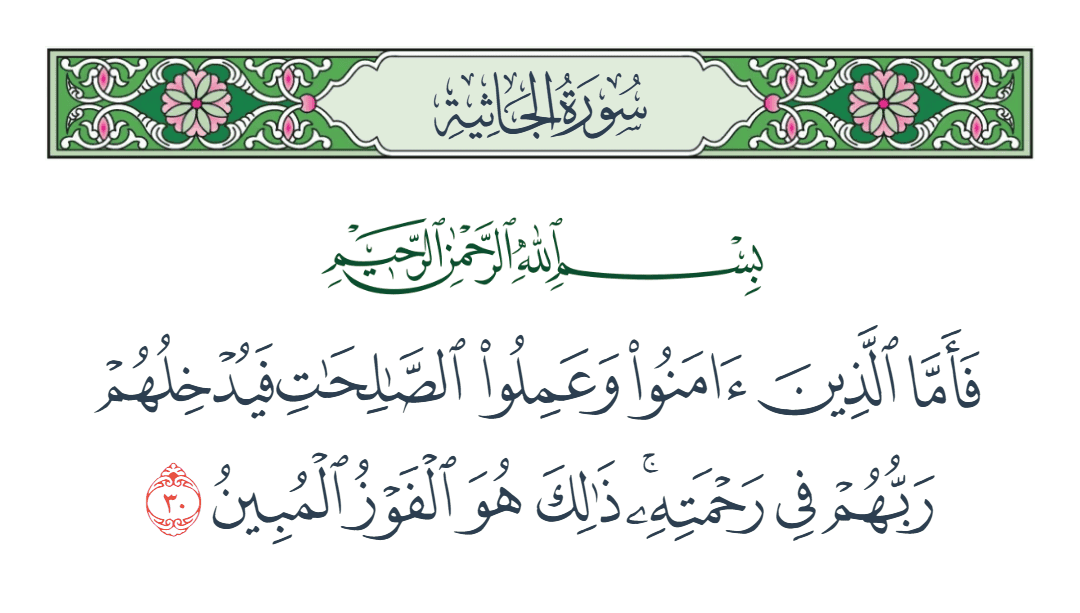  سورة الجاثية الآية رقم 30