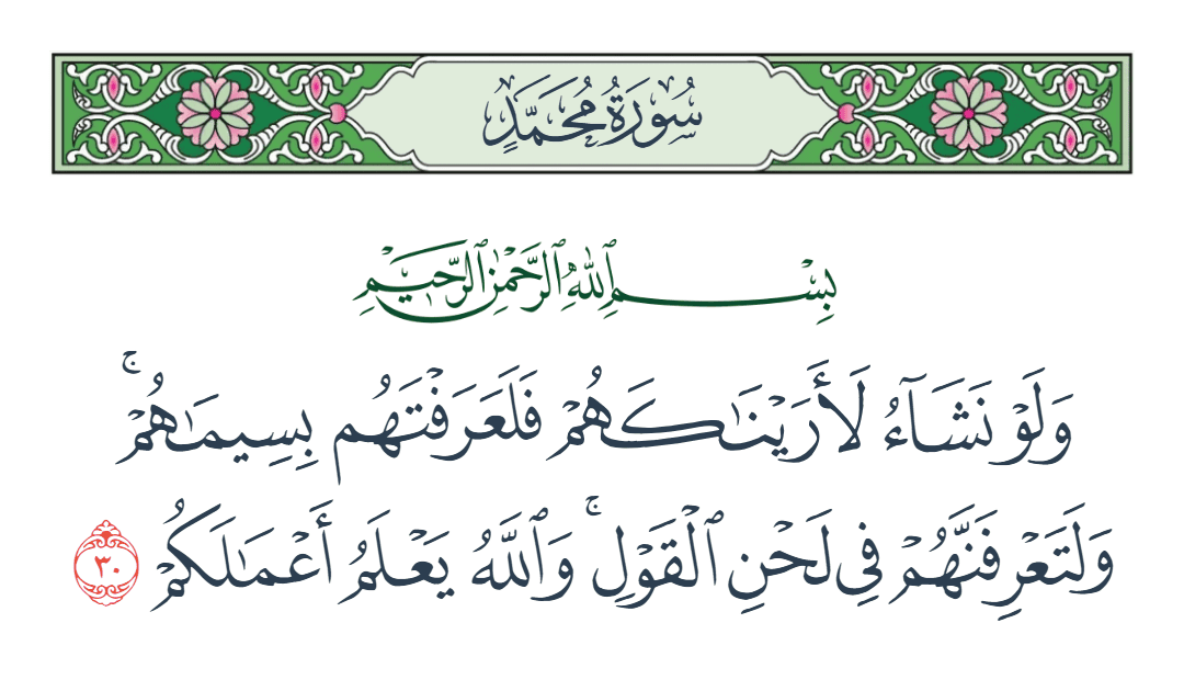  سورة محمد الآية رقم 30