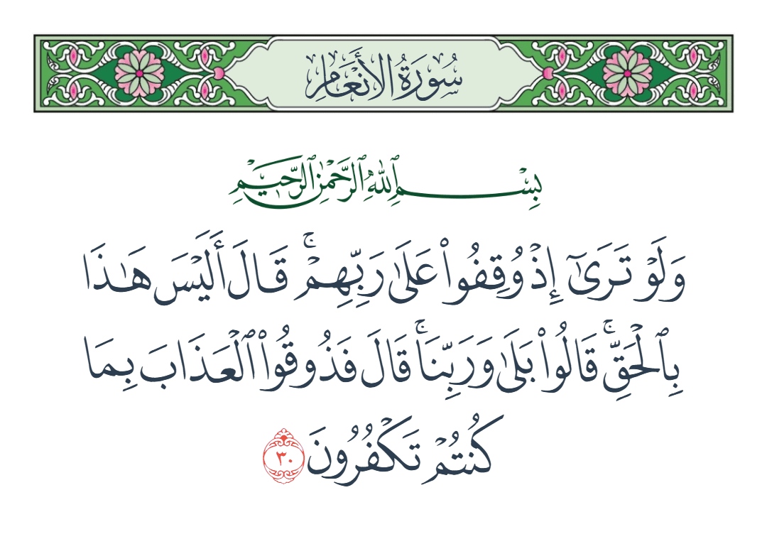  سورة الأنعام الآية رقم 30