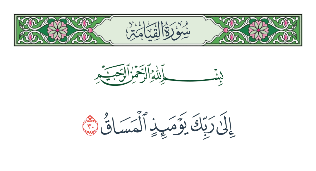  سورة القيامة الآية رقم 30