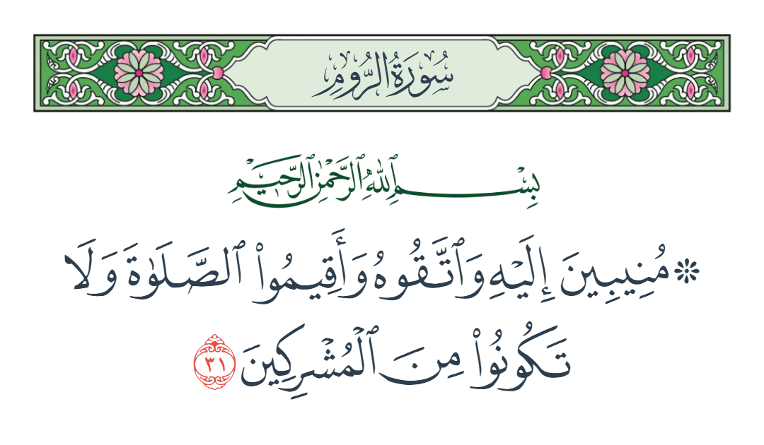  سورة الروم الآية رقم 31