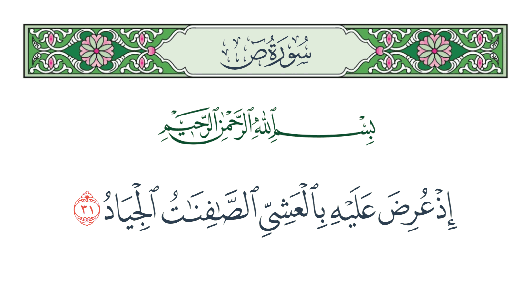  سورة ص الآية رقم 31