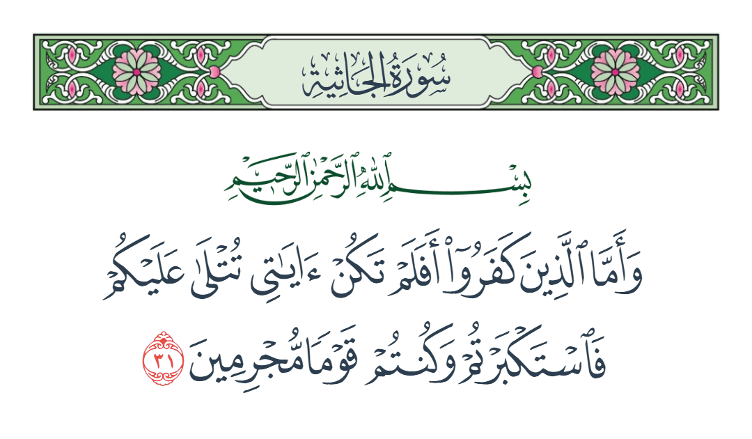  سورة الجاثية الآية رقم 31