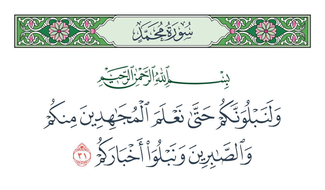 سورة محمد الآية رقم 31