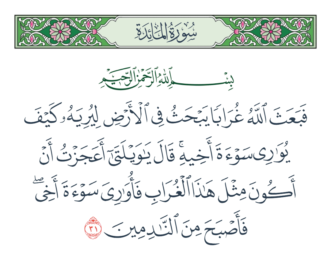  سورة المائدة الآية رقم 31