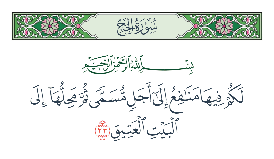  سورة الحج الآية رقم 33