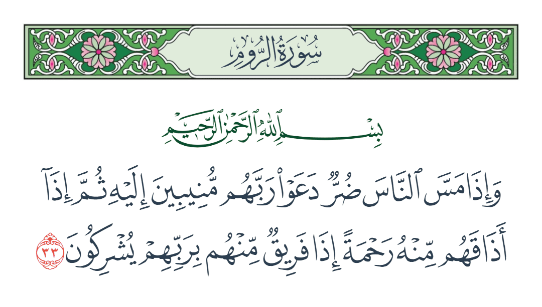  سورة الروم الآية رقم 33